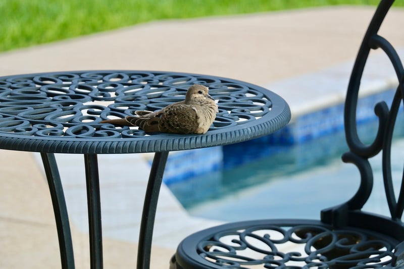 Repainted Patio Furniture