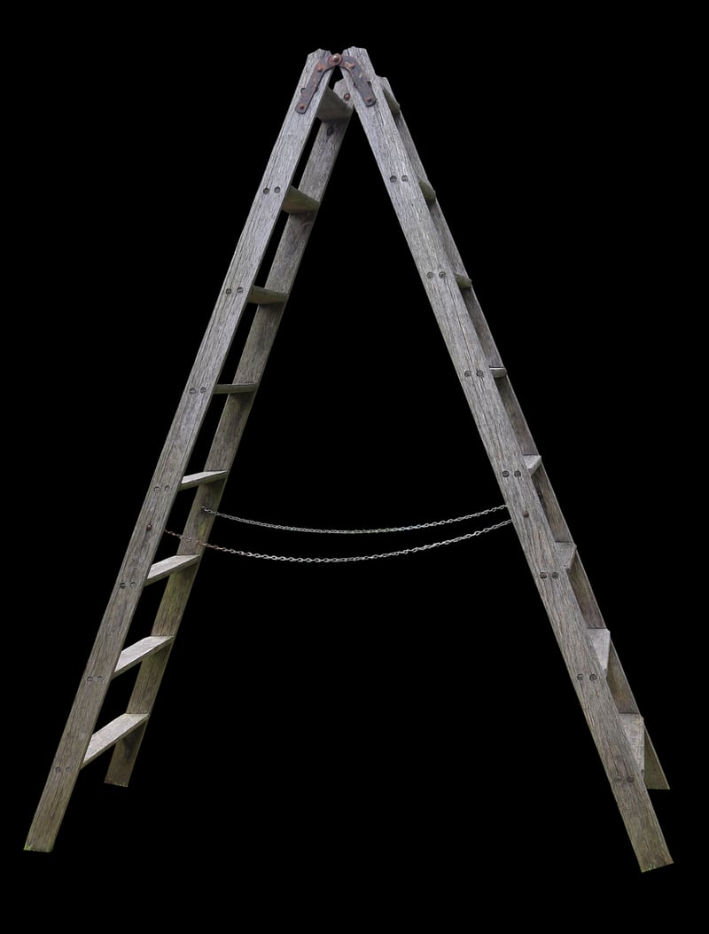 Ladder Bookshelf